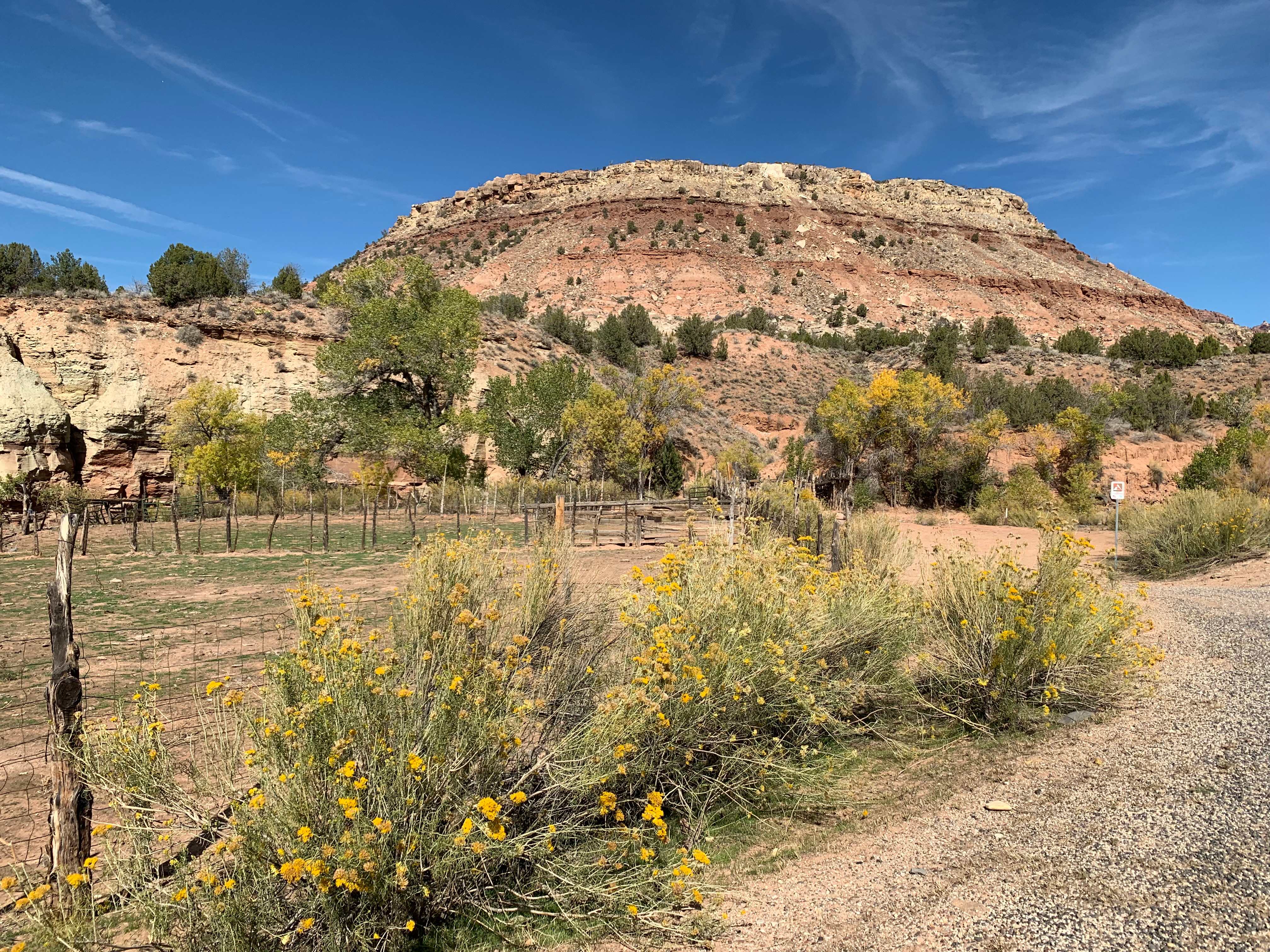 Zion NP